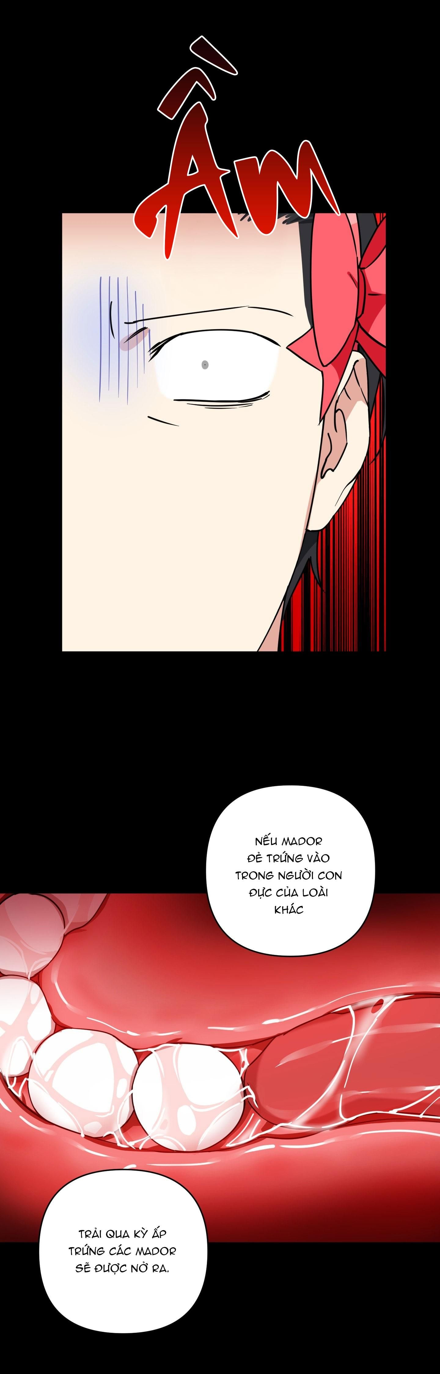 đọc truyện Ông Chú Phép Thuật Chương 22 ảnh 10 tại Thiên Thai Truyện