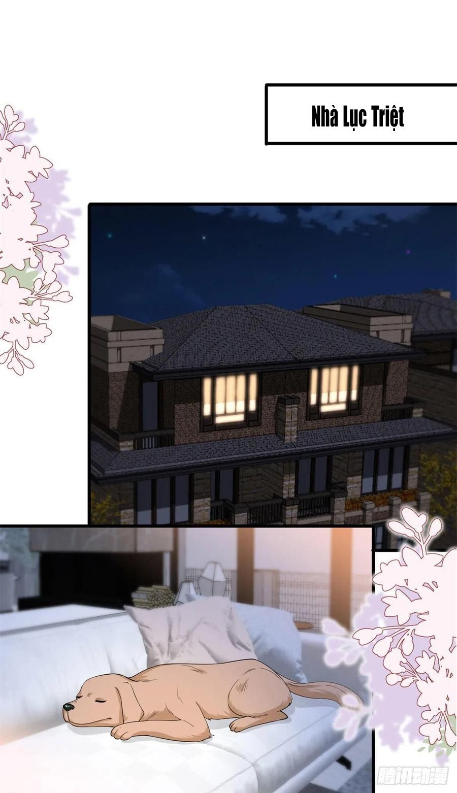 đọc truyện Ông Xã Kết Hôn Thử, Mạnh Thêm Chút Nữa Đi Chương 480 ảnh 11 tại Thiên Thai Truyện