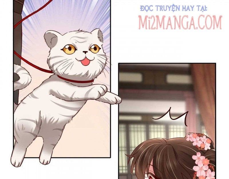 đọc truyện Papa Bạo Quân! Người Chạy Đâu Cho Thoát?! Chương 24 ảnh 24 tại Thiên Thai Truyện