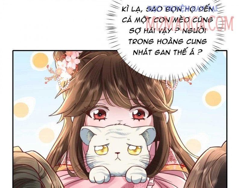 đọc truyện Papa Bạo Quân! Người Chạy Đâu Cho Thoát?! Chương 25 ảnh 4 tại Thiên Thai Truyện