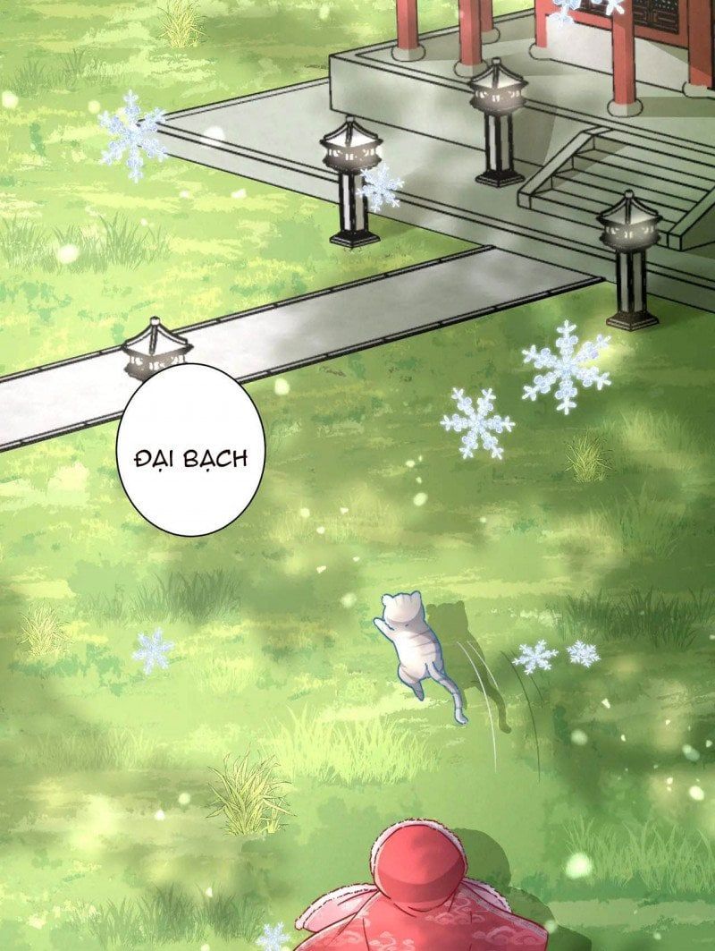 đọc truyện Papa Bạo Quân! Người Chạy Đâu Cho Thoát?! Chương 37 ảnh 7 tại Thiên Thai Truyện