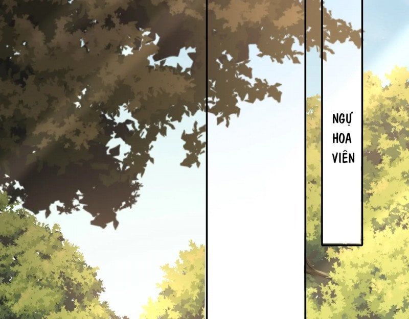 đọc truyện Papa Bạo Quân! Người Chạy Đâu Cho Thoát?! Chương 49 ảnh 24 tại Thiên Thai Truyện