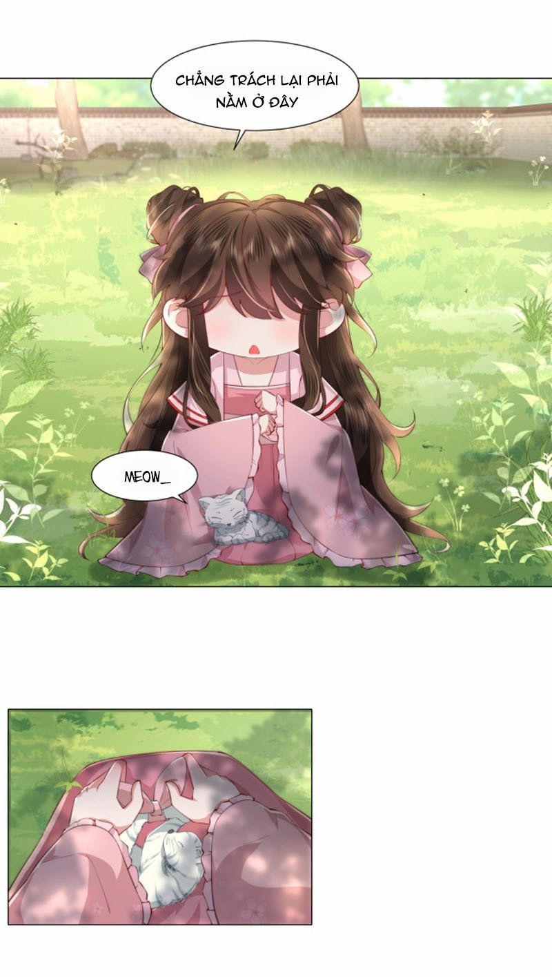 đọc truyện Papa Bạo Quân! Người Chạy Đâu Cho Thoát?! Chương 5 ảnh 11 tại Thiên Thai Truyện