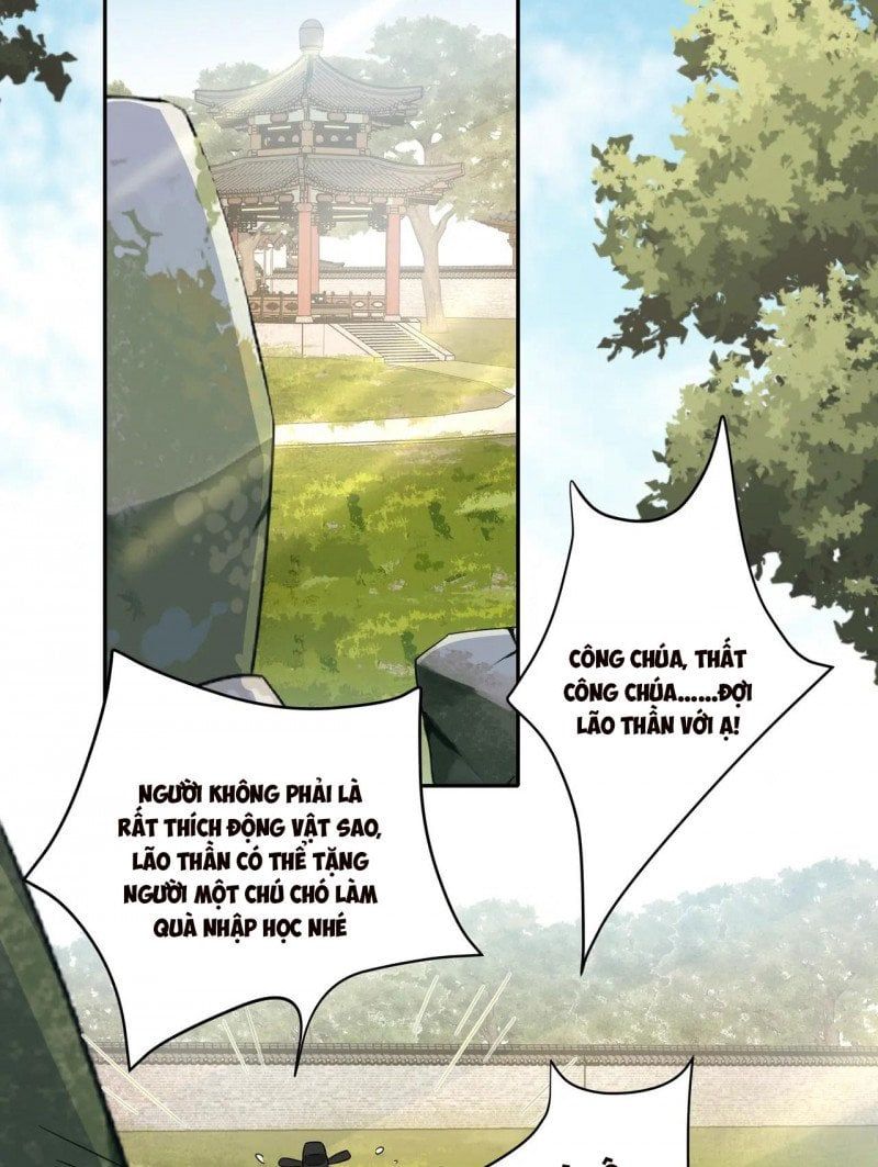 đọc truyện Papa Bạo Quân! Người Chạy Đâu Cho Thoát?! Chương 54 ảnh 21 tại Thiên Thai Truyện