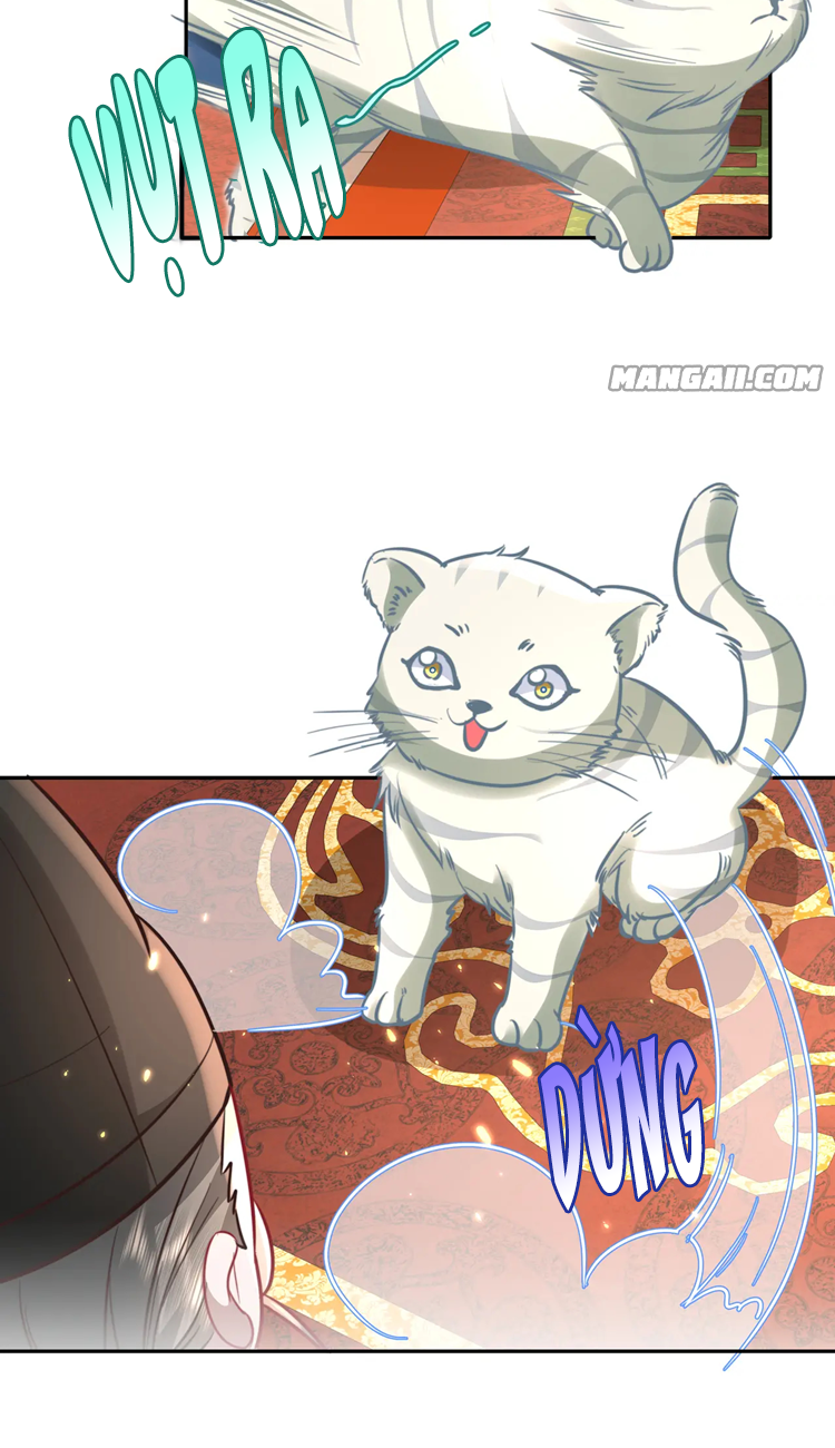 đọc truyện Papa Bạo Quân! Người Chạy Đâu Cho Thoát?! Chương 56 ảnh 19 tại Thiên Thai Truyện