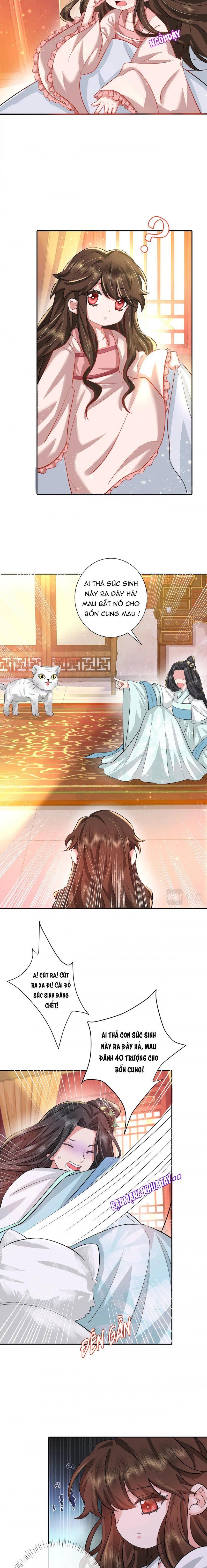 đọc truyện Papa Bạo Quân! Người Chạy Đâu Cho Thoát?! Chương 82 ảnh 5 tại Thiên Thai Truyện