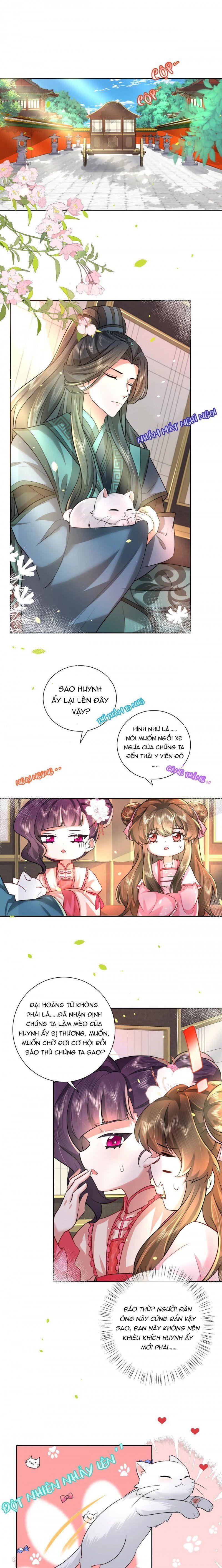 đọc truyện Papa Bạo Quân! Người Chạy Đâu Cho Thoát?! Chương 93 ảnh 4 tại Thiên Thai Truyện