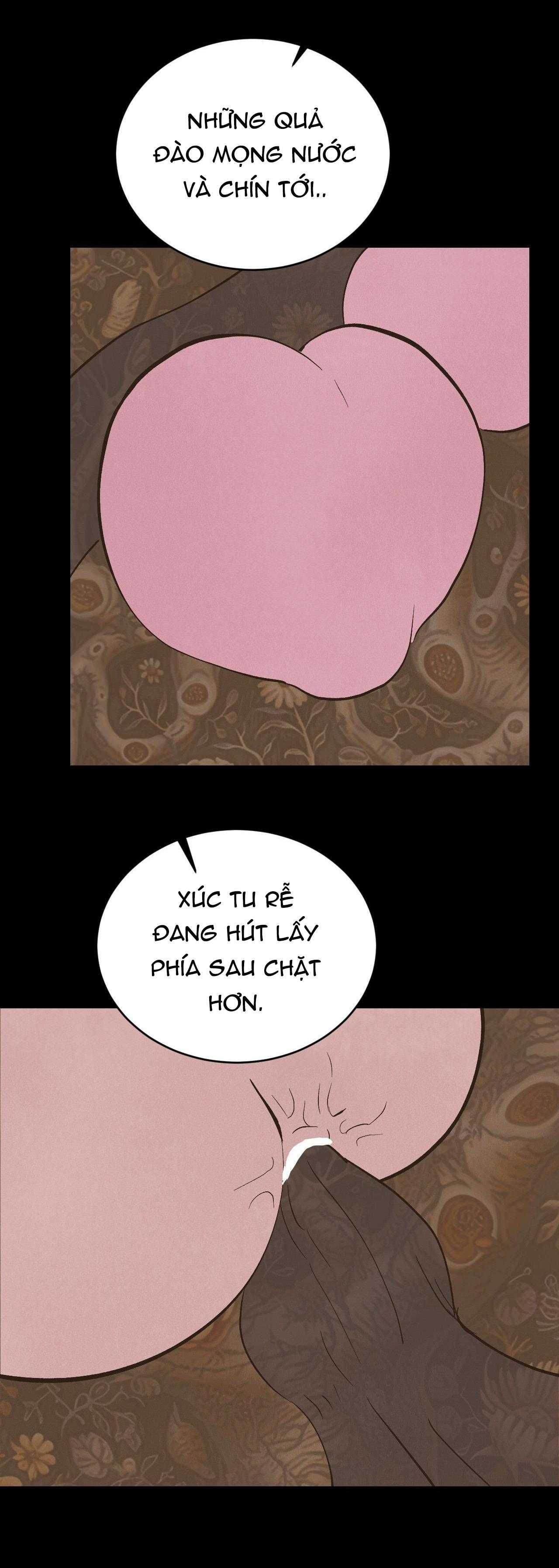 đọc truyện Peach Boy Chương 35 ảnh 17 tại Giả Dược