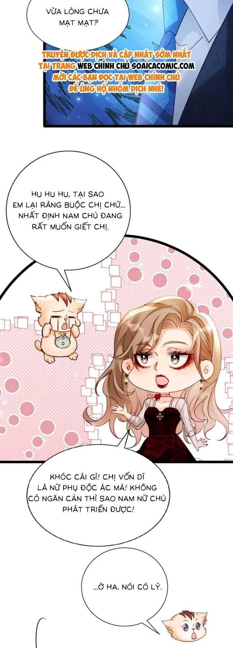 đọc truyện Phá Vỡ Kế Hoạch Của Tra Nam Tôi Về Bên Đại Boss Chương 47 ảnh 14 tại Giả Dược