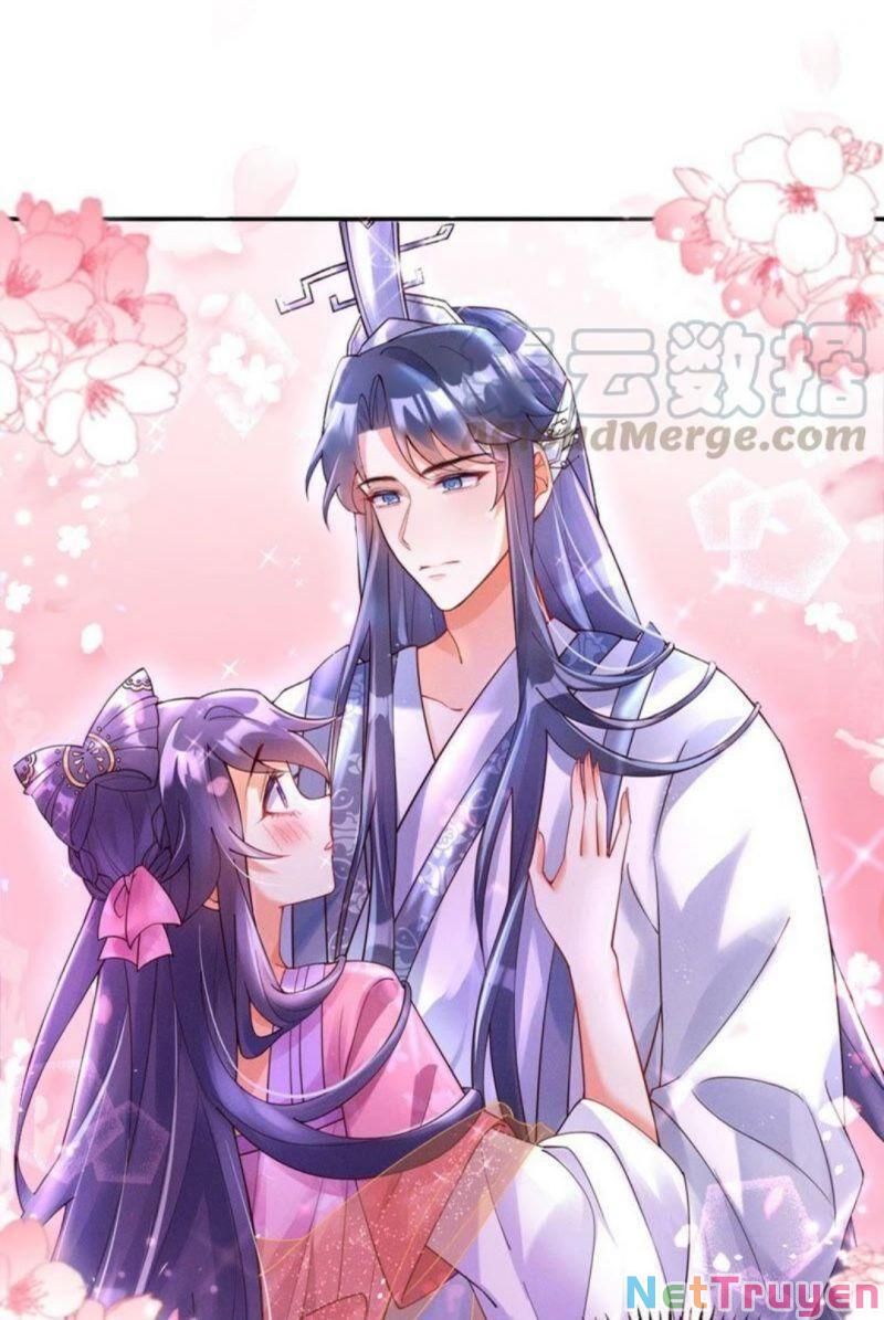 đọc truyện Phế Sài Tiểu Thư Muốn Nghịch Thiên Cải Mệnh Chương 4 ảnh 3 tại Thiên Thai Truyện