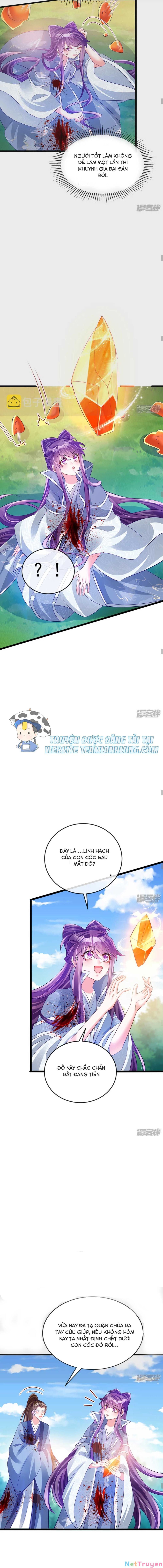 đọc truyện Phế Sài Tiểu Thư Muốn Nghịch Thiên Cải Mệnh Chương 62 ảnh 11 tại Thiên Thai Truyện