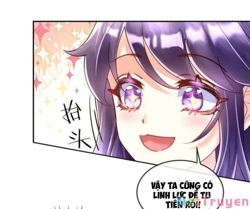 đọc truyện Phế Sài Tiểu Thư Muốn Nghịch Thiên Cải Mệnh Chương 7 ảnh 15 tại Thiên Thai Truyện