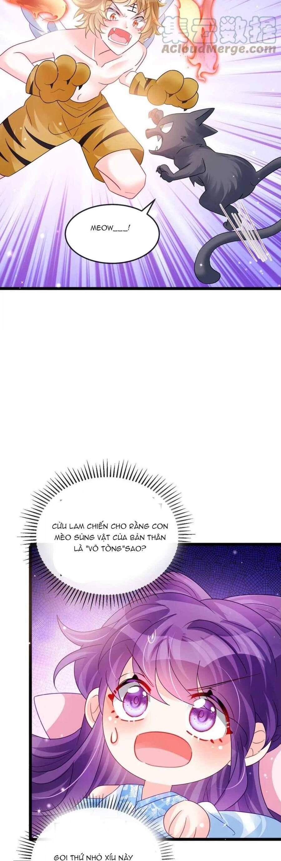 đọc truyện Phế Sài Tiểu Thư Muốn Nghịch Thiên Cải Mệnh Chương 92 ảnh 16 tại Thiên Thai Truyện