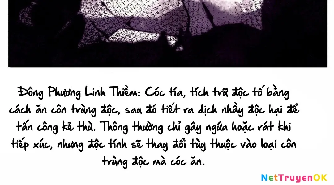 đọc truyện Phi Lôi Đạo Chương 190 ảnh 69 tại Thiên Thai Truyện