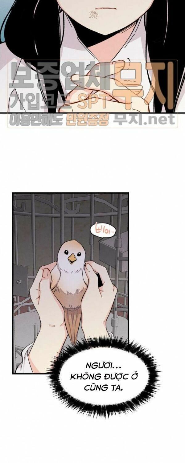 đọc truyện Phi Lôi Đạo Chương 21 ảnh 33 tại Thiên Thai Truyện