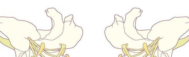 đọc truyện Phía Sau Em, Luôn Có Ta Bên Cạnh Chương 36 ảnh 171 tại Thiên Thai Truyện