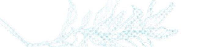 đọc truyện Phía Sau Em, Luôn Có Ta Bên Cạnh Chương 38 ảnh 333 tại Thiên Thai Truyện