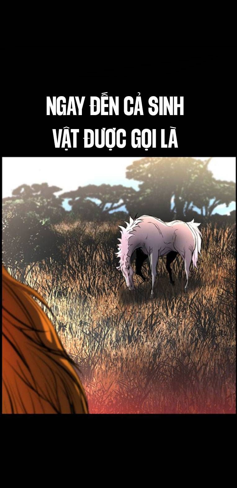 đọc truyện Phòng Gym Hanlim Chương 110 ảnh 26 tại Thiên Thai Truyện