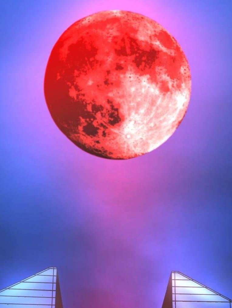 đọc truyện Phòng Gym Hanlim Chương 192 ảnh 214 tại Thiên Thai Truyện