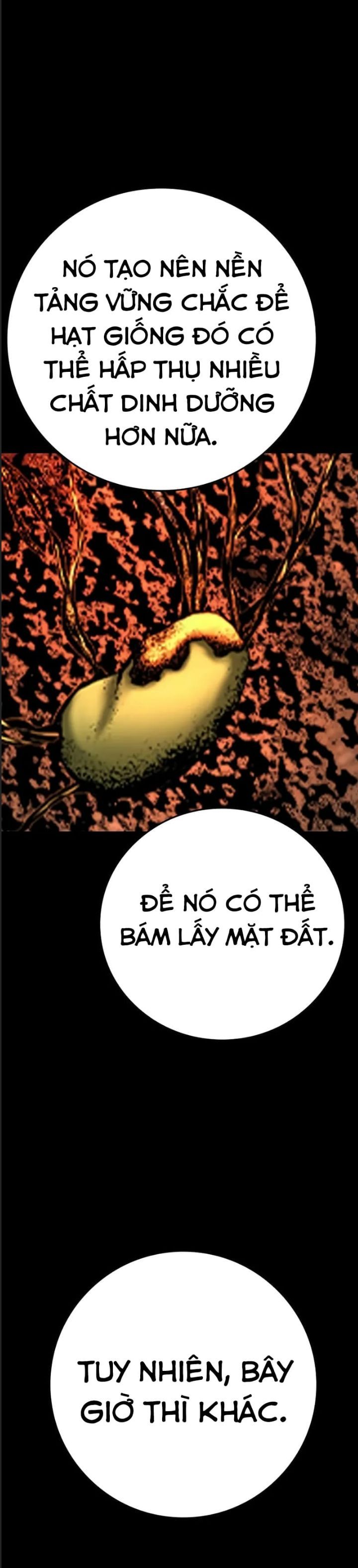 đọc truyện Phòng Gym Hanlim Chương 204 ảnh 33 tại Thiên Thai Truyện