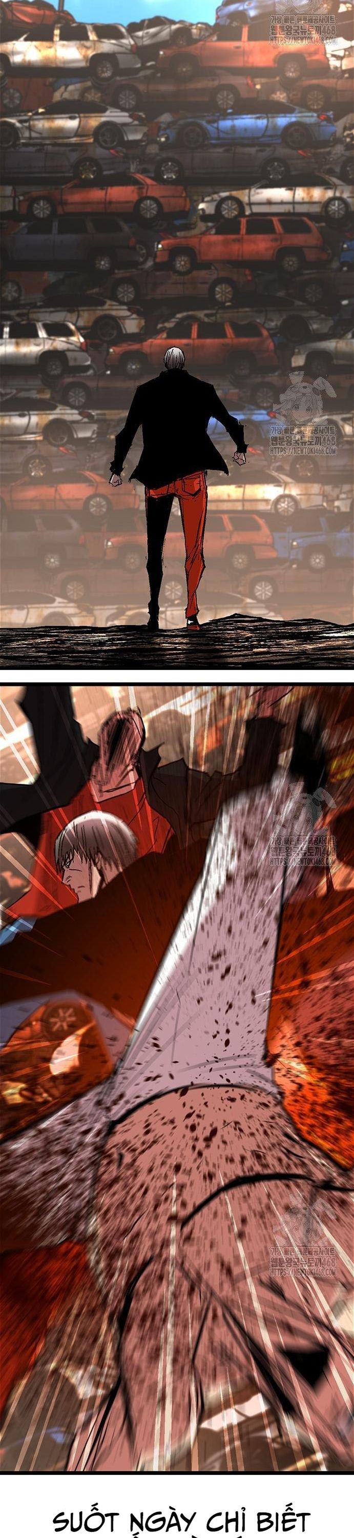 đọc truyện Phòng Gym Hanlim Chương 225 ảnh 48 tại Thiên Thai Truyện