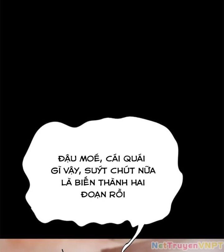 đọc truyện Phong Yêu Vấn Đạo Chương 140 ảnh 25 tại Thiên Thai Truyện