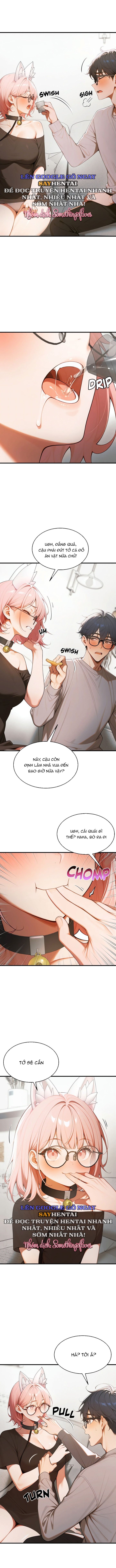 đọc truyện Phù Thủy Quyền Lực Chương 18 ảnh 10 tại Thiên Thai Truyện