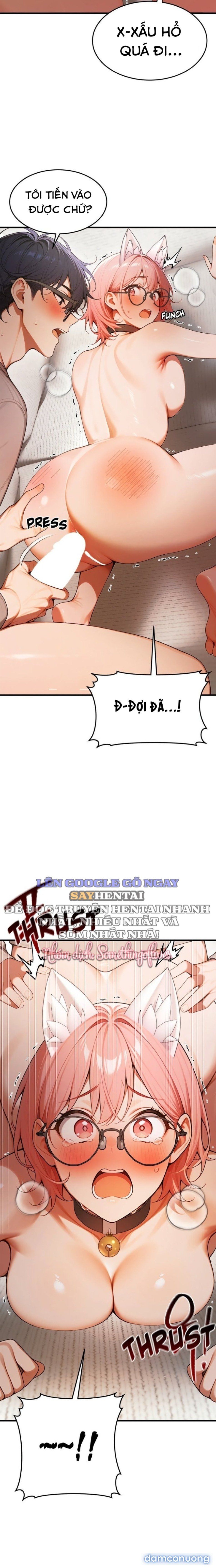 đọc truyện Phù Thủy Quyền Lực Chương 21 ảnh 12 tại Thiên Thai Truyện