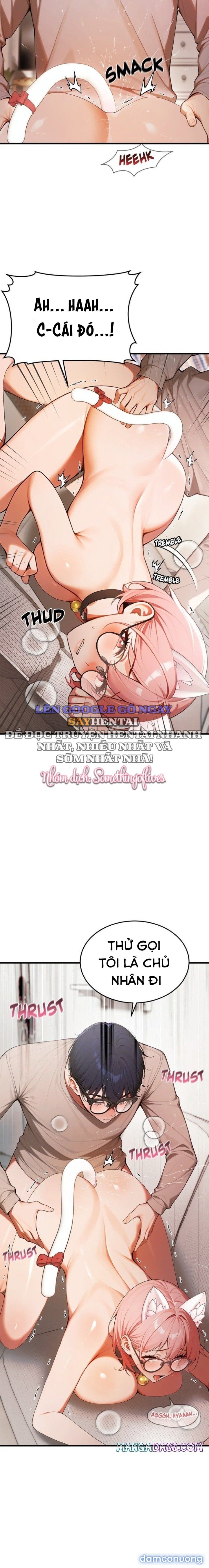 đọc truyện Phù Thủy Quyền Lực Chương 21 ảnh 6 tại Thiên Thai Truyện