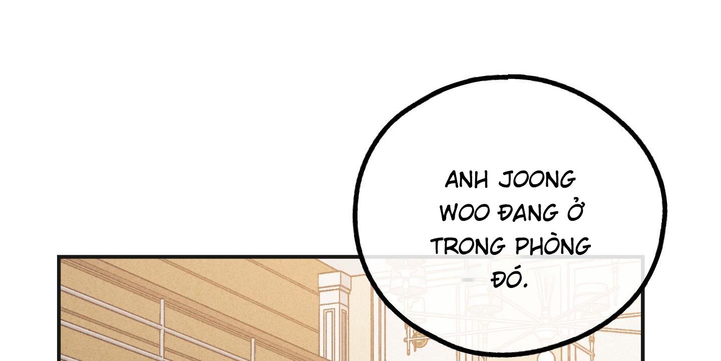 đọc truyện Phục Thù Chương 56 ảnh 233 tại Thiên Thai Truyện