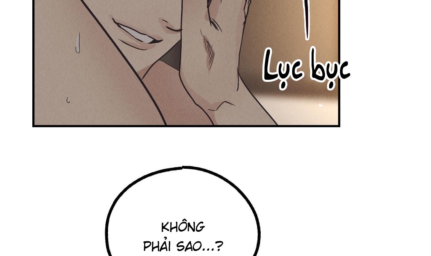 đọc truyện Phục Thù Chương 64 ảnh 143 tại Thiên Thai Truyện