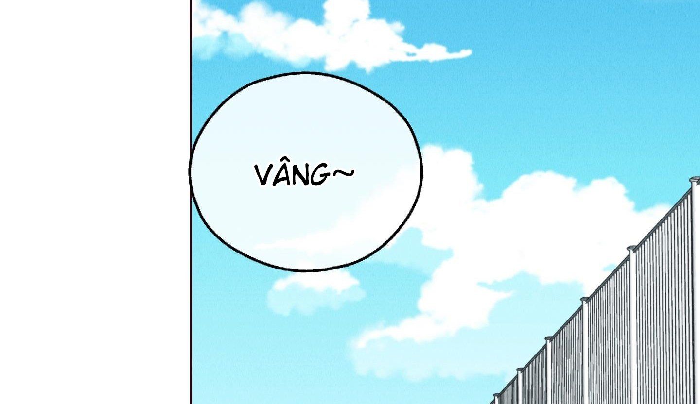 đọc truyện Phục Thù Chương 66 ảnh 215 tại Thiên Thai Truyện