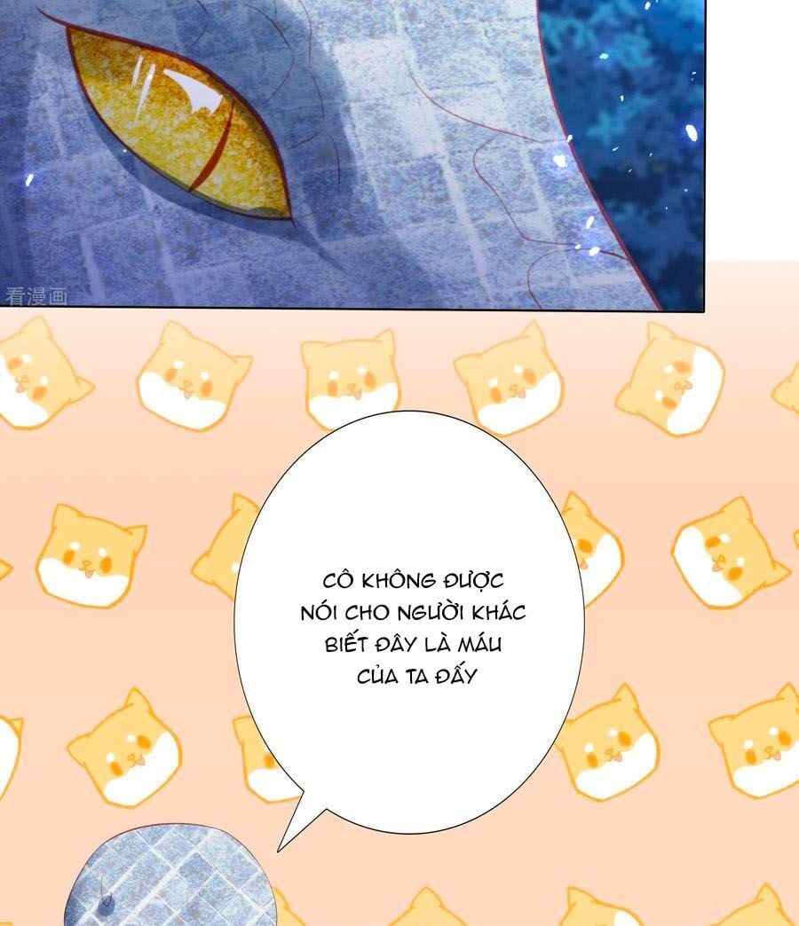 đọc truyện Phượng Hoàng Thác: Chuyên Sủng Khí Thê Chương 138 ảnh 12 tại Thiên Thai Truyện