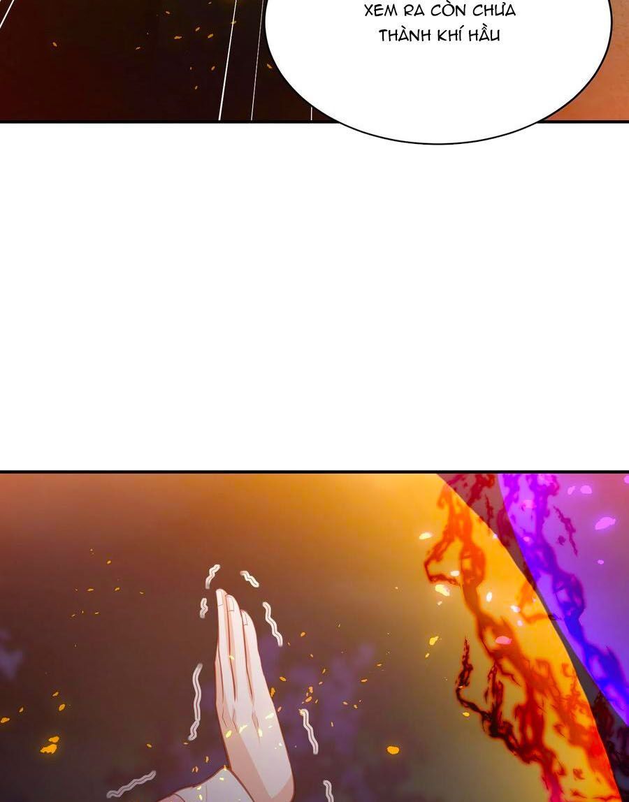 đọc truyện Phượng Hoàng Thác: Chuyên Sủng Khí Thê Chương 157 ảnh 9 tại Thiên Thai Truyện