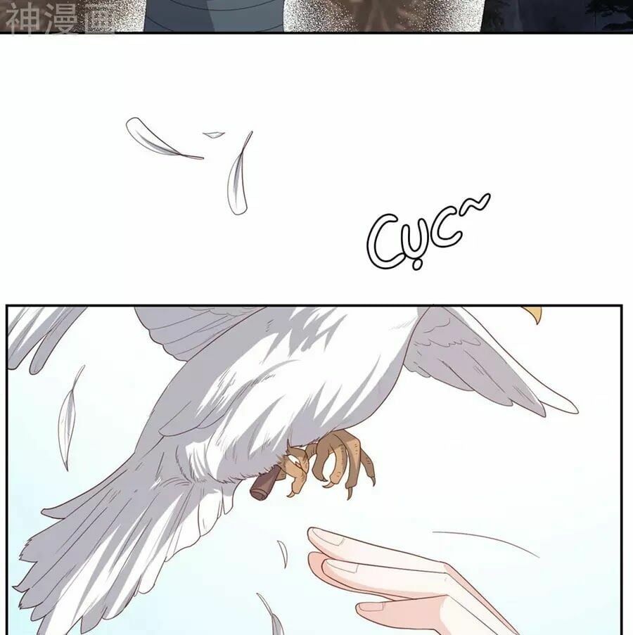 đọc truyện Phượng Hoàng Thác: Chuyên Sủng Khí Thê Chương 18 ảnh 7 tại Thiên Thai Truyện