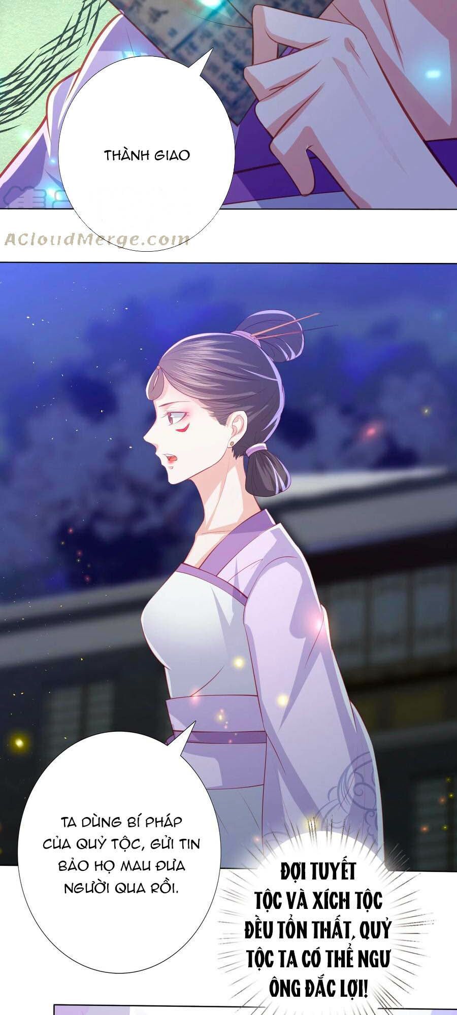 đọc truyện Phượng Hoàng Thác: Chuyên Sủng Khí Thê Chương 181 ảnh 9 tại Thiên Thai Truyện