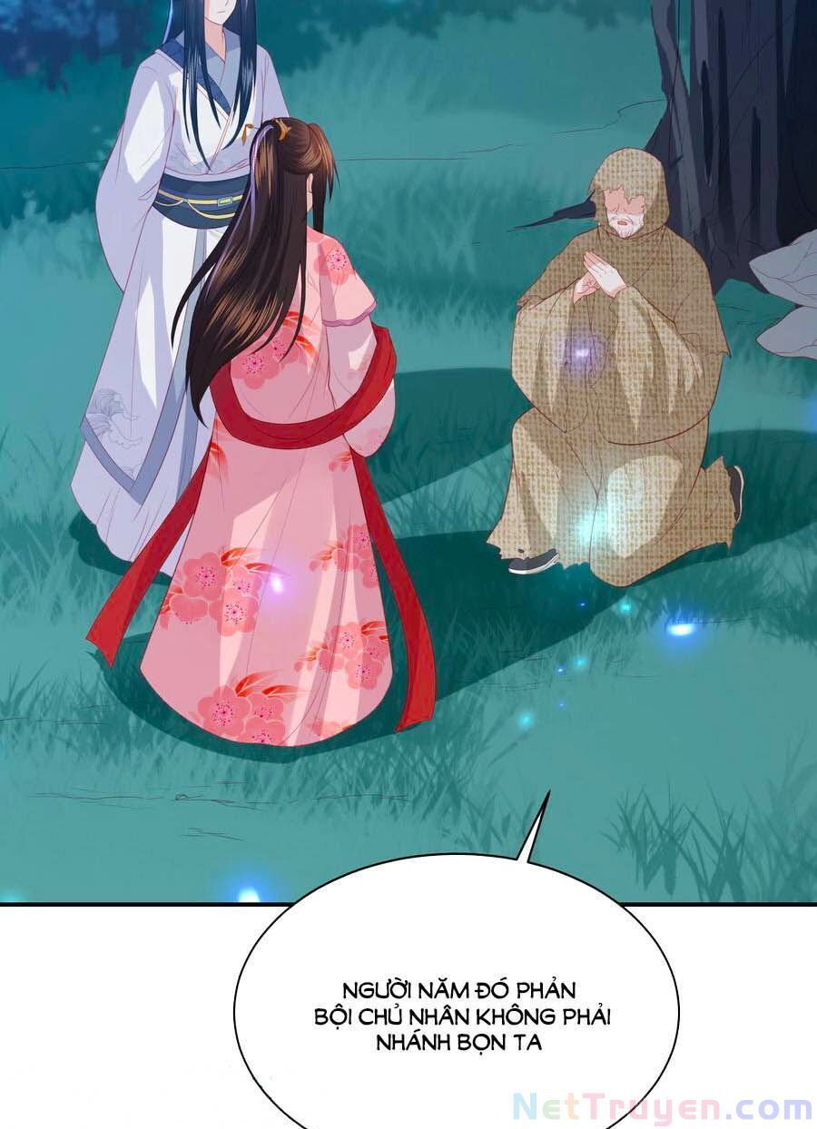 đọc truyện Phượng Hoàng Thác: Chuyên Sủng Khí Thê Chương 184 ảnh 18 tại Thiên Thai Truyện