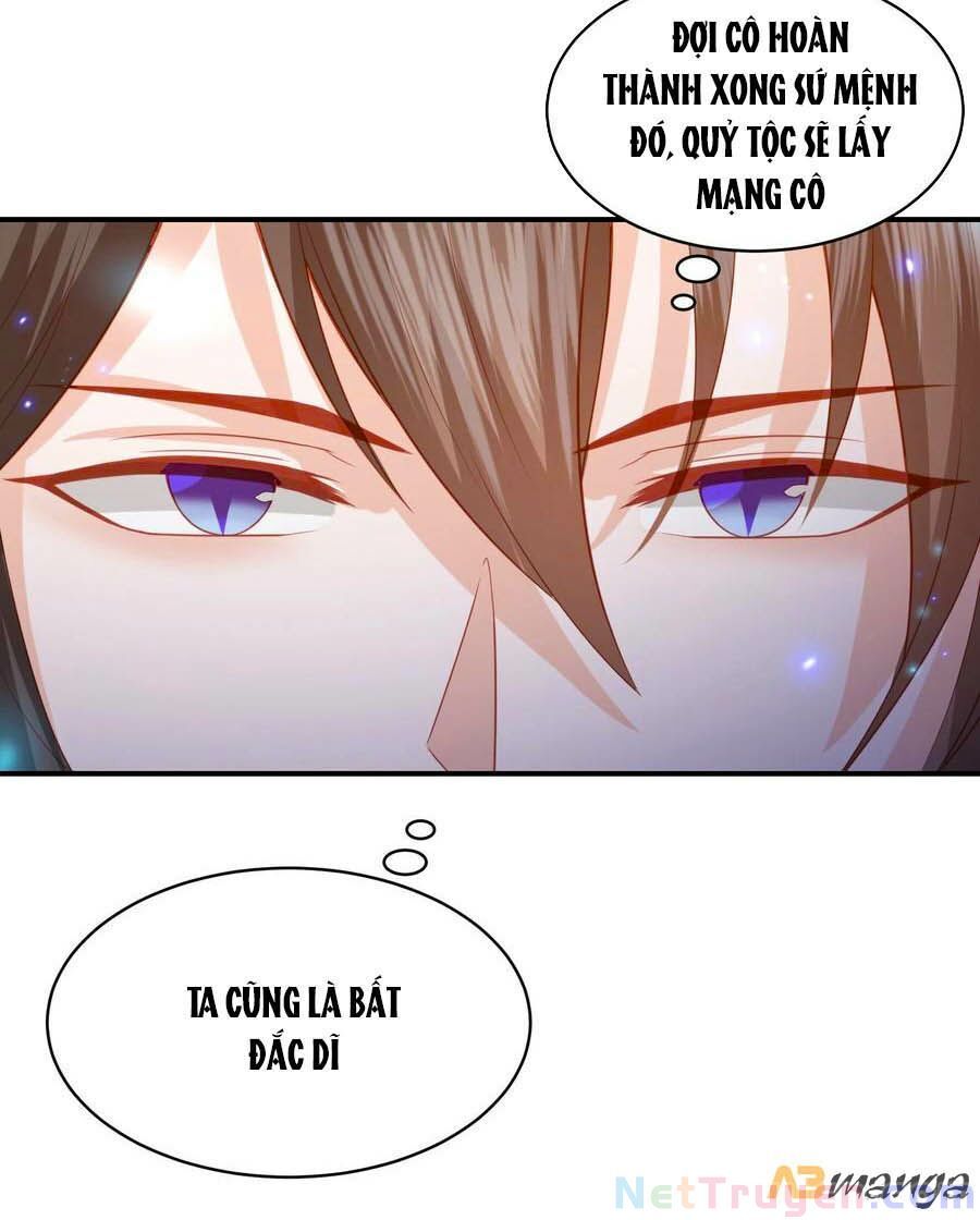 đọc truyện Phượng Hoàng Thác: Chuyên Sủng Khí Thê Chương 184 ảnh 11 tại Thiên Thai Truyện