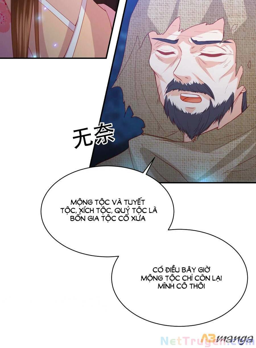 đọc truyện Phượng Hoàng Thác: Chuyên Sủng Khí Thê Chương 185 ảnh 12 tại Thiên Thai Truyện