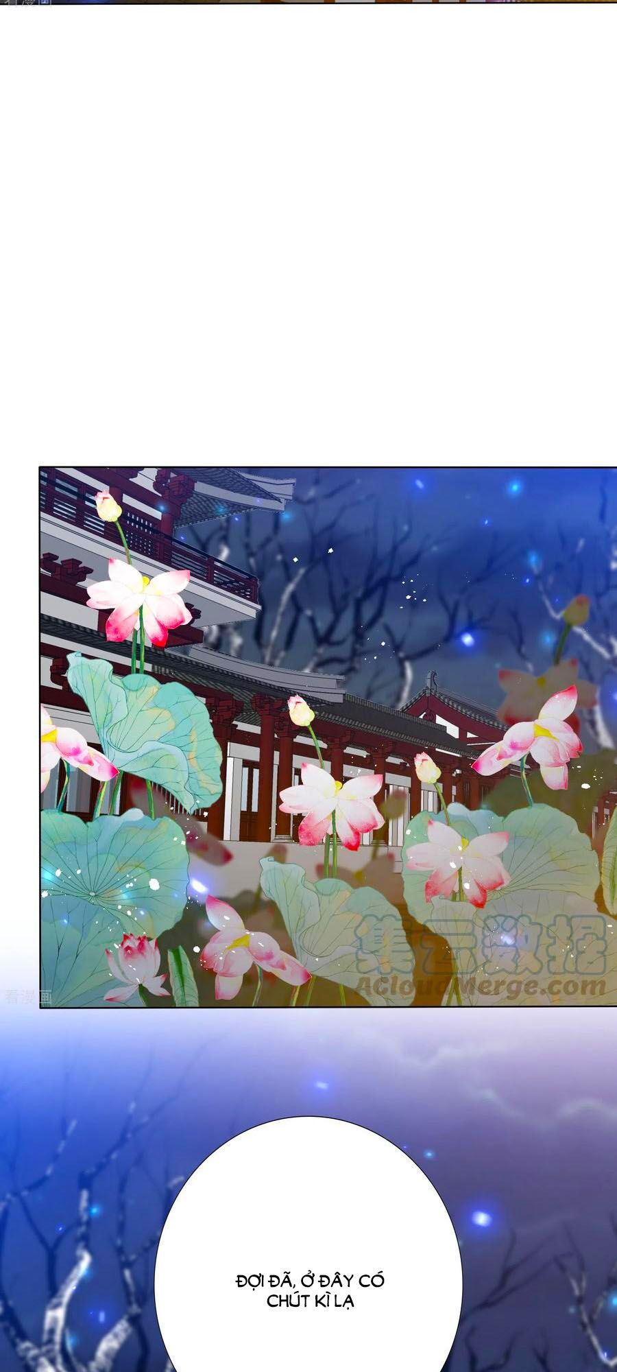 đọc truyện Phượng Hoàng Thác: Chuyên Sủng Khí Thê Chương 187 ảnh 18 tại Thiên Thai Truyện