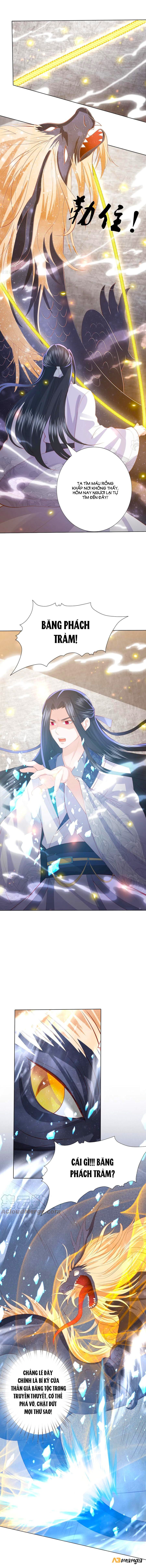 đọc truyện Phượng Hoàng Thác: Chuyên Sủng Khí Thê Chương 196 ảnh 3 tại Thiên Thai Truyện