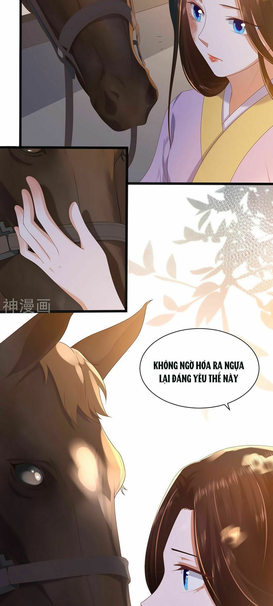 đọc truyện Phượng Hoàng Thác: Chuyên Sủng Khí Thê Chương 2 ảnh 24 tại Thiên Thai Truyện