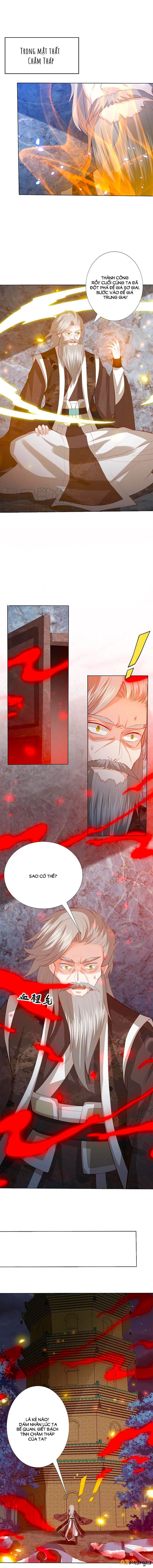 đọc truyện Phượng Hoàng Thác: Chuyên Sủng Khí Thê Chương 200 ảnh 3 tại Thiên Thai Truyện