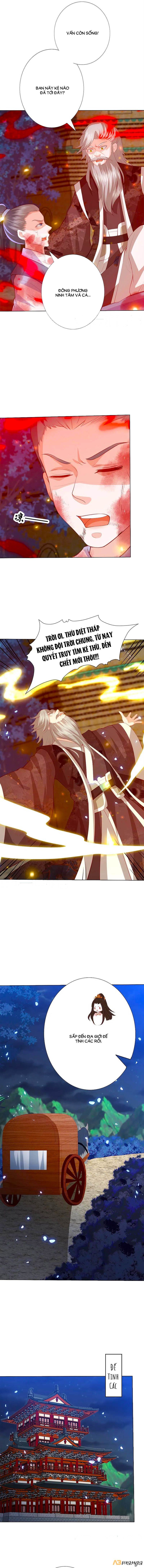 đọc truyện Phượng Hoàng Thác: Chuyên Sủng Khí Thê Chương 200 ảnh 4 tại Thiên Thai Truyện