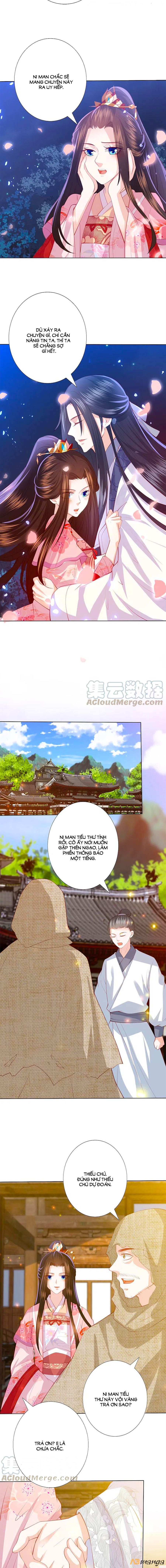 đọc truyện Phượng Hoàng Thác: Chuyên Sủng Khí Thê Chương 200 ảnh 7 tại Thiên Thai Truyện