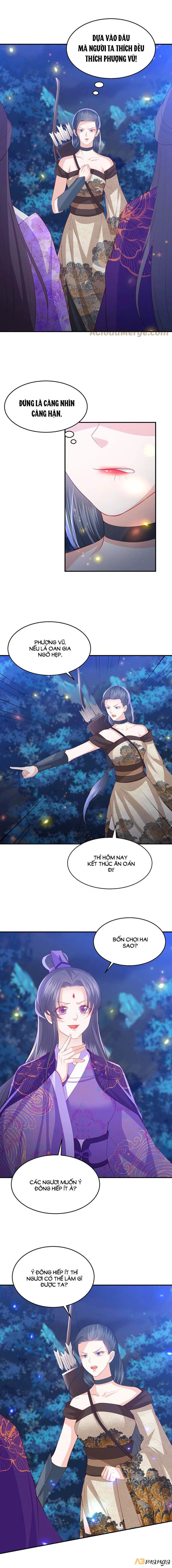 đọc truyện Phượng Hoàng Thác: Chuyên Sủng Khí Thê Chương 205 ảnh 5 tại Thiên Thai Truyện