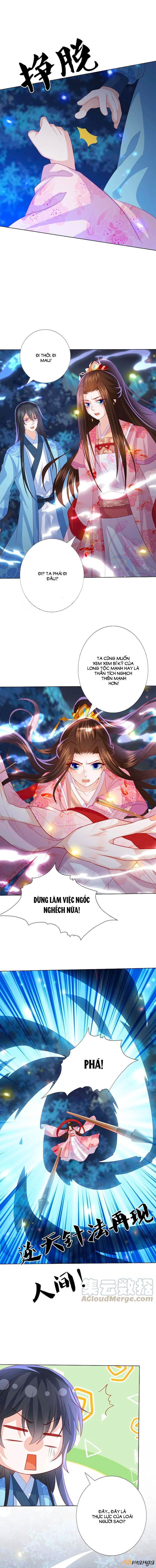 đọc truyện Phượng Hoàng Thác: Chuyên Sủng Khí Thê Chương 206 ảnh 8 tại Thiên Thai Truyện