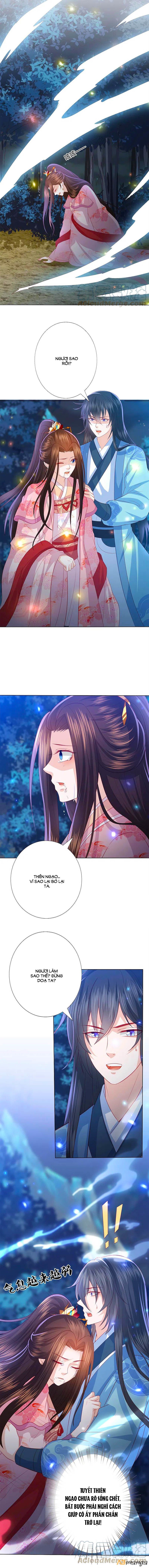 đọc truyện Phượng Hoàng Thác: Chuyên Sủng Khí Thê Chương 206 ảnh 9 tại Thiên Thai Truyện