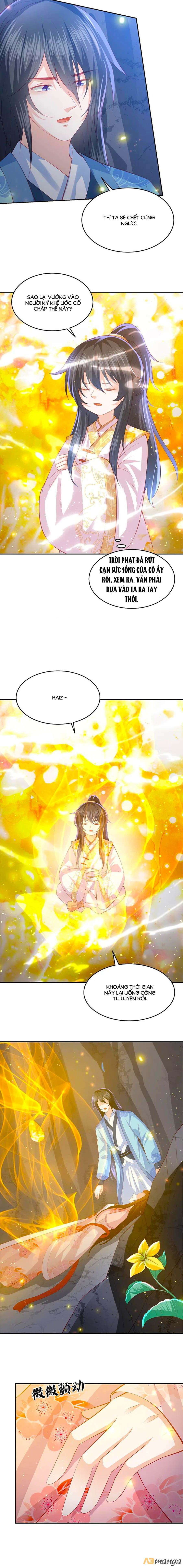 đọc truyện Phượng Hoàng Thác: Chuyên Sủng Khí Thê Chương 207 ảnh 4 tại Thiên Thai Truyện