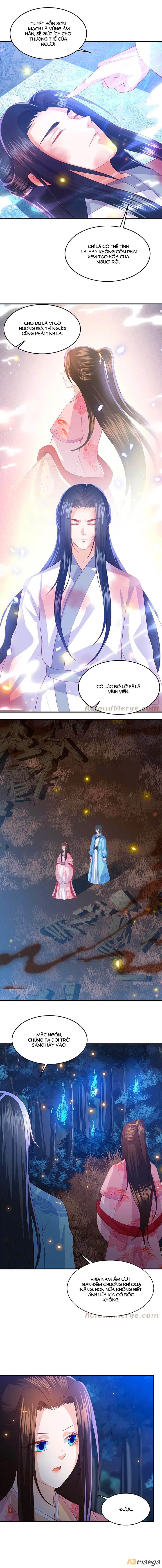 đọc truyện Phượng Hoàng Thác: Chuyên Sủng Khí Thê Chương 207 ảnh 8 tại Thiên Thai Truyện